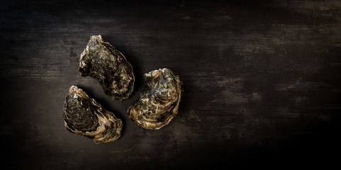 Raw oysters on the graphite board