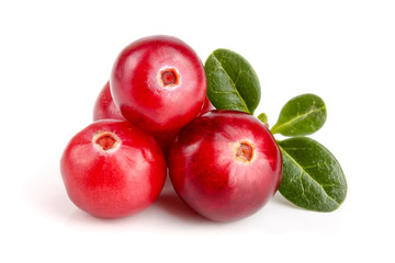 Cranberry with leaf isolated on white background closeup macro