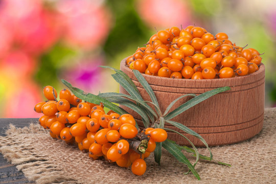 Sea-buckthorn berries in a wooden bowl on table with blurred garden background