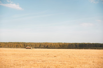 Combine harvester working in the wheat field