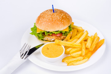 hamburger with French fries