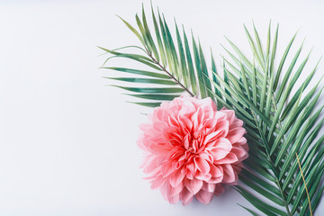 Pastel pink flower and tropical palm leaves on white desktop background, top view, creative layout...