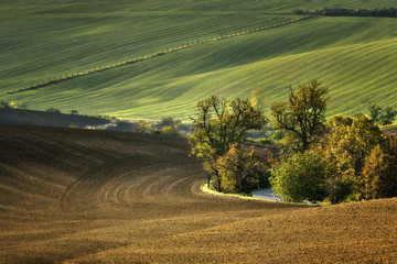 Fototapeta premium Moravian fields, Moravia, Czech Republic, around the village Kyjov 