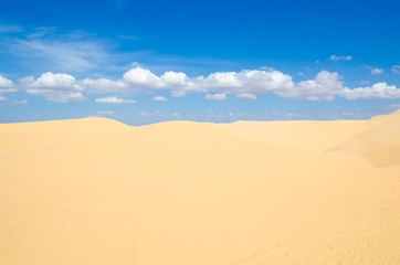 Obraz na płótnie Canvas sand desert