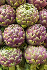 Obraz premium Head of the Artichokes on the market