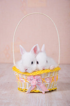 Two adorable little rabbits in a basket