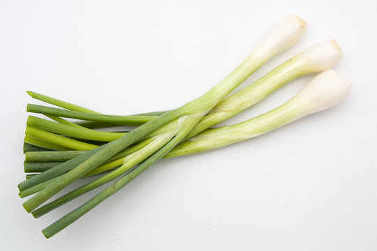 Green Onion Isolated