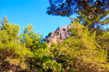 Fototapeta premium Green Hills