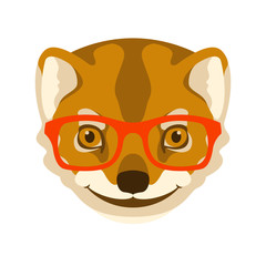 mongoose in glasses vector illustration flat style front