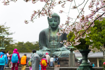 Monumental famous bronze statue of the great buddha   (Daibutsu) in Kotokuin Temple, Kanagawa...