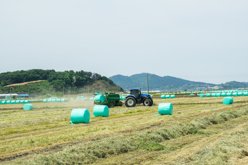 Rural scenery tractor work in Yangdeok-ri, Yeonggwang-gun, Jeollanam-do