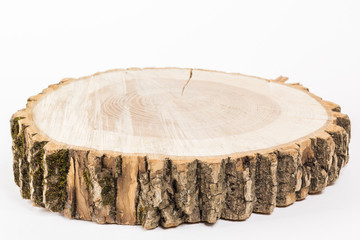 cut tree  on white background. wooden tray