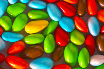 Beautiful colors of chocolate sunflower