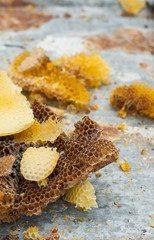 bees honeycombs, wax, close-up