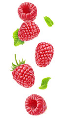 Isolated berries floating in the air. Falling raspberry fruits with leaves isolated on white...