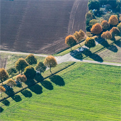 Vue aérienne d'une route bordée d'arbres près de Maintenon dans l'Eure-et-Loir en France
