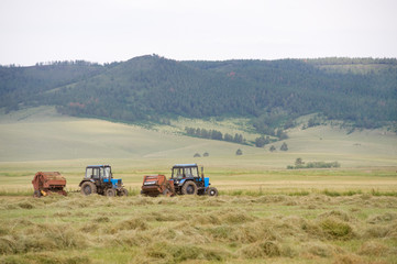 Obraz premium hay harvesting