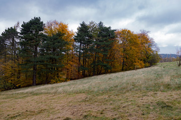 Herbst auf den Goslarer Bergwiesen