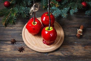 Red caramel apples on sticks on Dark wood background, with Christmas tree branches