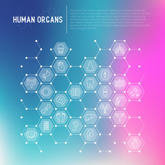 Fototapeta premium Human internal organs concept in honeycombs with thin line icons. Vector illustration for banner, web page, print media.