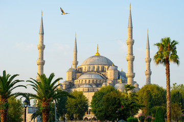 Naklejka premium Blue Mosque - Istanbul, Turkey.