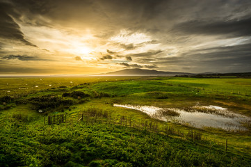 Fototapeta na wymiar Wetlands in Dumfries and Galloway