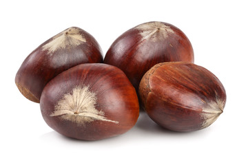 sweet chestnut isolated on white background