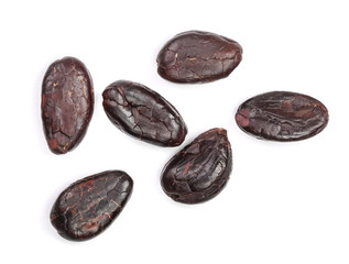 cocoa bean isolated on white background close-up top view