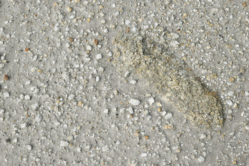 Brown ground and stone surface background ,Nature style and empty space for text.