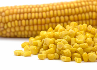 Gemüsemais, Zea mays