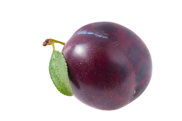 One plum isolated on a white background.