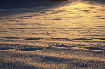 Winter und Schneelandschaft