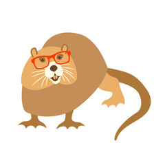 nutria rodent in glasses vector illustration flat style