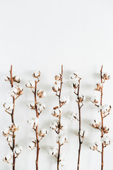 Minimal raw cotton branches on white background. Flat lay, top view.