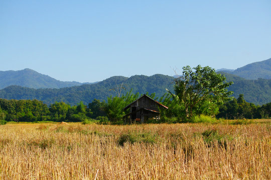Traditional farmer's hut in the rice field in Vang vieng, Laos. © cocorattanakorn