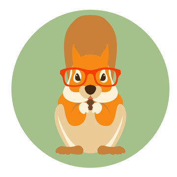 squirrel rodent in glasses vector illustration flat style
