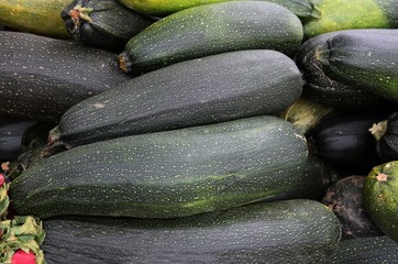 green zucchinies as tasty vegetable