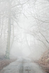 Obraz premium Foggy path
