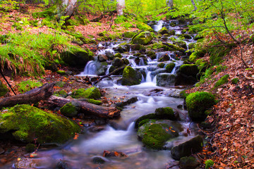 Obraz na płótnie Canvas River in the autumn forest, mountain waterfall