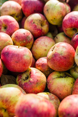 Schöne leckere Äpfel