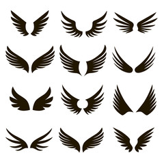 Fototapeta na wymiar 12 black and white wings icons