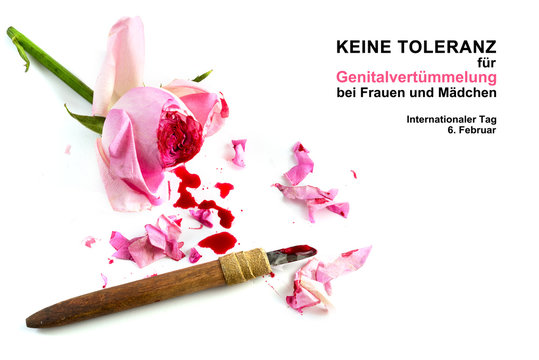 cut rose blossom, blood and knife isolated on a white background with german text Keine Genitalverstümmelung bei Frauen und Mädchen, that means zero tolerance for FGM