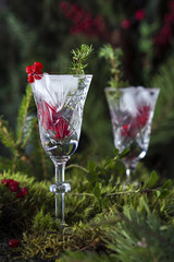 alcoholic cocktail with vodka, ice and berries