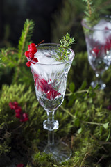 alcoholic cocktail with vodka, ice and berries