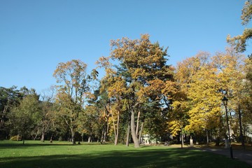 Naklejka premium multicolor scenic of autumn in park