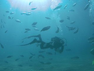 Fototapeta na wymiar Diver 