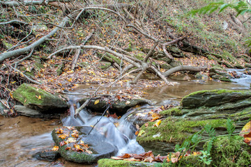 Creek at Susquehannock State Park along trail