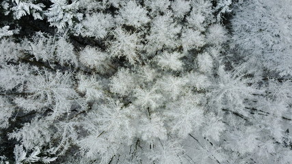 Winter Luftbild