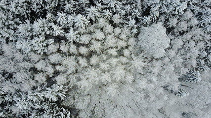 Winter Luftbild