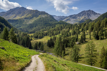 un chemin au milieu des alpages des montagnes suisses